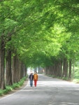 게시물 보기 페이지