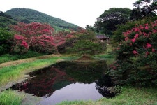 게시물 보기 페이지