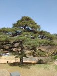 담양군 문화관광 여행이야기 > 포토갤러리
