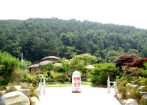 게시물 보기 페이지
