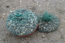 文化観光 >唐津の農特産物 > > 당진시 외국어(일어) 홈페이지 당진시청