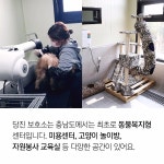 플러그인당진 당진시 동물보호소 개소 > 플러그인당진