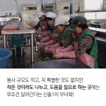 플러그인당진 당진시 신평면 신흥1리 부녀회 이야기 > 플러그인당진