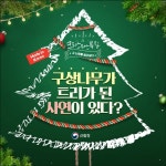 플러그인당진 구상나무가 트리가 된 사연! 크리스마스 트리가 한국나무라고요? > 플러그인당진