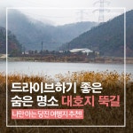 플러그인당진 나만 아는 당진 여행지 추천! 숨은 명소 대호지 뚝길 > 플러그인당진