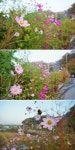 플러그인당진 가볍게 등산하기 좋은 송악읍 오룡산 > 플러그인당진