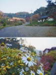 플러그인당진 가볍게 등산하기 좋은 송악읍 오룡산 > 플러그인당진