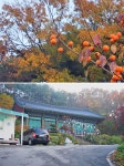 플러그인당진 가볍게 등산하기 좋은 송악읍 오룡산 > 플러그인당진