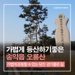 플러그인당진 가볍게 등산하기 좋은 송악읍 오룡산 > 플러그인당진