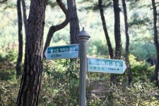 플러그인당진 당진 등산하기 좋은 산 2탄, 아미산 내포문화숲길을 걸어요! > 플러그인당진