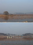 플러그인당진 당진오봉저수지에서 만나는 겨울! > 플러그인당진
