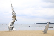 플러그인당진 왜목마을 해수욕장 사용설명서 > 플러그인당진