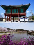 플러그인당진 당진 감성여행, 면천  책방에서 만나볼까요? > 플러그인당진