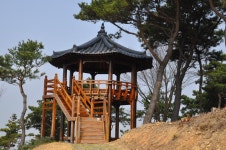 플러그인당진 당진의 보물 