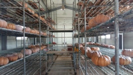 플러그인당진 당진농기센터 농촌체험학습 수강생들의 역량 강화 체험학습 > 플러그인당진