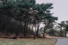 플러그인당진 진달래 피는 봉화산과 은봉산 > 플러그인당진