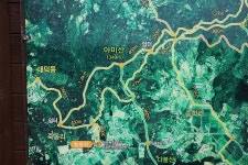 플러그인당진 벚꽃 터널을 따라 아미산 등산 > 플러그인당진