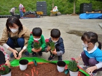 플러그인당진 2020 어린이 농부 체험학교가 시작됐어요 > 플러그인당진