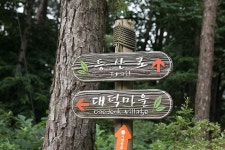 플러그인당진 당진 둘레길 명소 대덕산 & 대덕공원 소나무 숲길을 걸어요 > 플러그인당진