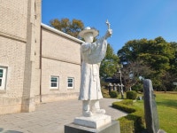 플러그인당진 당진 합덕에 등장한 오징어게임과 노란국화 핫포토존! > 플러그인당진