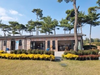 플러그인당진 당진 합덕에 등장한 오징어게임과 노란국화 핫포토존! > 플러그인당진
