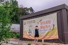 플러그인당진 당진 열대과일 치유체험농장 나나군파파양 > 플러그인당진