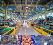 플러그인당진 당진시 바다의 매력, 장고항 여행! > 플러그인당진