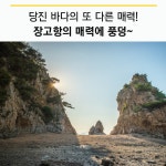 플러그인당진 당진시 바다의 매력, 장고항 여행! > 플러그인당진