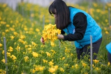플러그인당진  > 플러그인당진