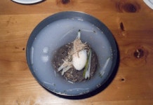 [백령도 메밀냉면](경기 옹진) 까나리로 만든 육수 먹어 - 튜닝09 여행/맛집/풍경 튜닝09