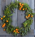 DIY Winter Citrus Wreath – Design*Sponge