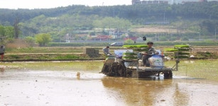 동해시청 > 시정소식 > 보도/해명자료(상세보기)