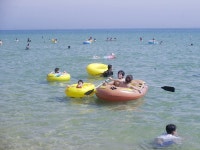 동해관광 > 여행도우미 > 동해관광 포토갤러리