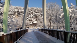 공지사항 < 센터소식 < 동해무릉건강숲
