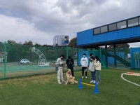대구한의대학교