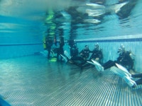 실버스포츠학전공