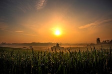 베스트갤러리 - 빛이 이쁜 날...안성목장