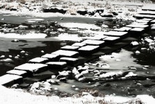 베스트갤러리 - 우리동네 징금다리.....