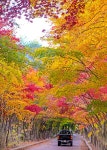 베스트갤러리 - 필례 약수터