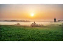 베스트갤러리 - 초원의 아침