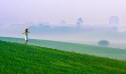 베스트갤러리 - 저 푸른 초원위에