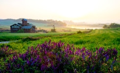 베스트갤러리 - 안성목장...