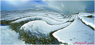 베스트갤러리 - 선/