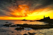 베스트갤러리 - 아름다운 죽성