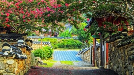 베스트갤러리 - 100일의 환희