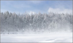 베스트갤러리 - 대관령