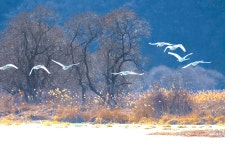 베스트갤러리 - 경안천 소식