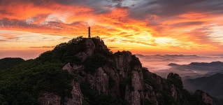 베스트갤러리 - 여 명