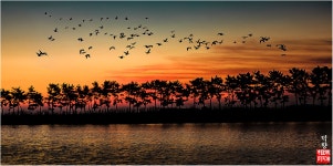 베스트갤러리 - 여 명