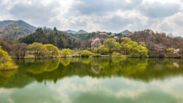 베스트갤러리 - 동네방죽